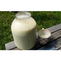 Коровье молоко