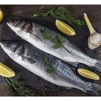 Сибас заморозка