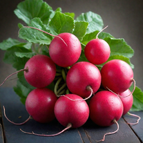 Редис сорта «Алёнушка»