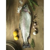 Форель непотрошеная весом от 3 кг
