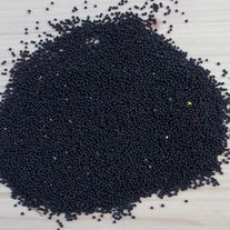 Рапс озимый