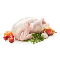 Мясо индейки