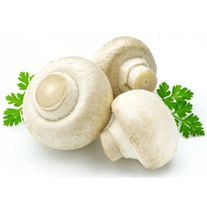 Грибы шампиньоны