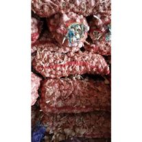 Свежий чеснок "Добрыня" с поля, урожай 2023г.