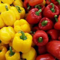 Перец сладкий