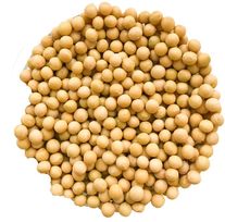 Семена сои "Статная"