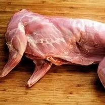 Кролик (тушка)