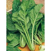 Мангольд зеленый 1 кг.
