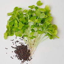 Горчица "Золушка"