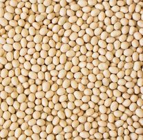 Семена сои ВНИИМК, сорт Вилана Бета