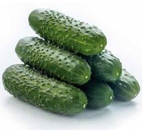 Огурец "Мадрилене"