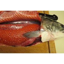 Форель икорная