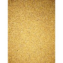 Семена горчицы