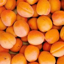 Абрикос "Краснощёкий"