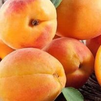 Абрикос "Краснощёкий"