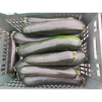 Цукини "Сальвадор"