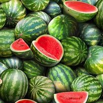 Арбуз "Огонек"