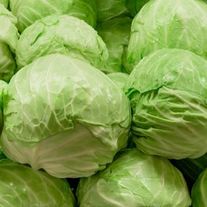 Капуста белокочанная