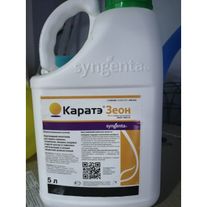 Каратэ Зеон, МКС