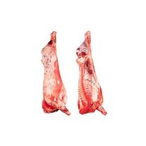 Мясо (конина)