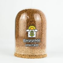 Семена рыжика ярового ВНИИМК, сорт "КРИСТАЛЛ" (ЭС)