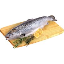 Лосось атлантический