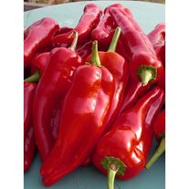 Перец "Паприка"