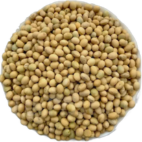 Соя "Золотистая" ПР-2