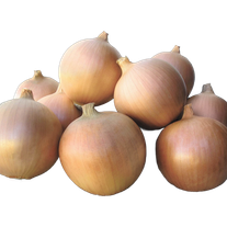 Лук "Штутгартер"