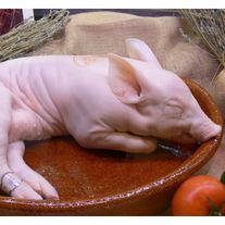 Молочные поросята, 1,5-6 кг.