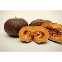 Семена Тыква Москвичка