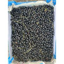 Черная смородина "Богатырь"