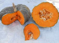 Тыква Лазурная