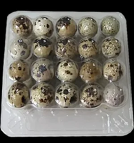 Яйца перепелиные