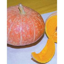 Семена Тыква Ольга