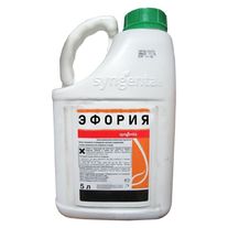 Эфория,КС (106+141 г/л)