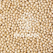 Семена сои ВНИИМК, сорт Вилана бета
