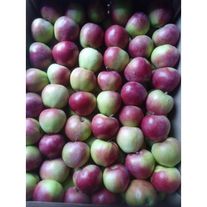 Яблоки свежие "Подарок Графскому" 