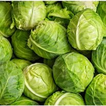 Капуста белокочанная, сорт «Витаминная»