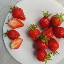 "Сан Диас" ремонтантный сорт крупной садовой земляники