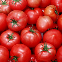 Томаты  красные  Сибиряк F1