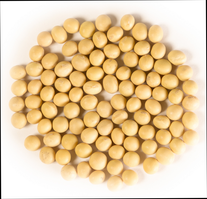 Семена сои "Марината"