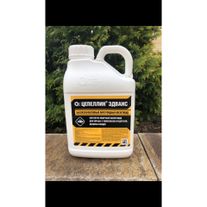 Цепеллин Эдванс