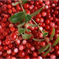 Брусника замороженная