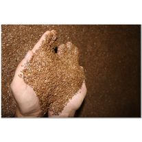 Семена льна масличного ВНИИМК 620