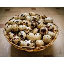 Яйца перепелиные