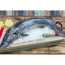 Осетр охлажденный