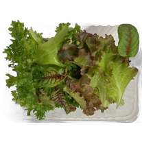 Микс листовых салатов