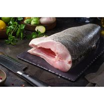 Толстолобик