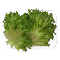 Салат Айсберг листовой